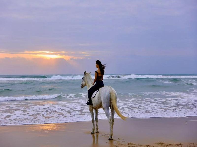 Marriott Resort Xiangshui Bay image