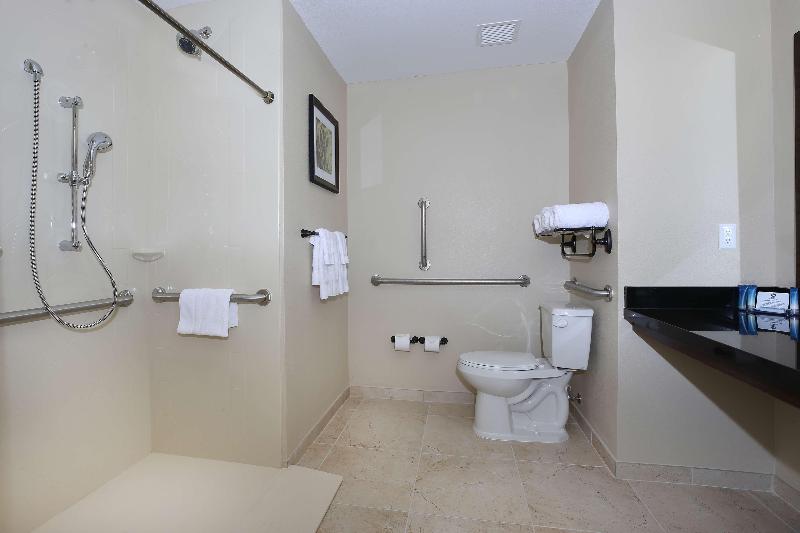 Best Western Plus Hudson Hotel & Suites image