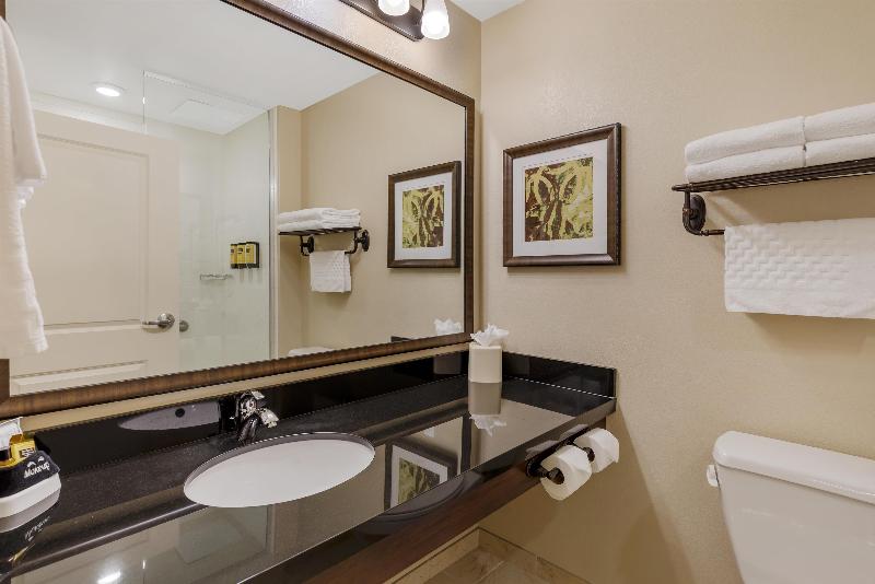 Best Western Plus Hudson Hotel & Suites image