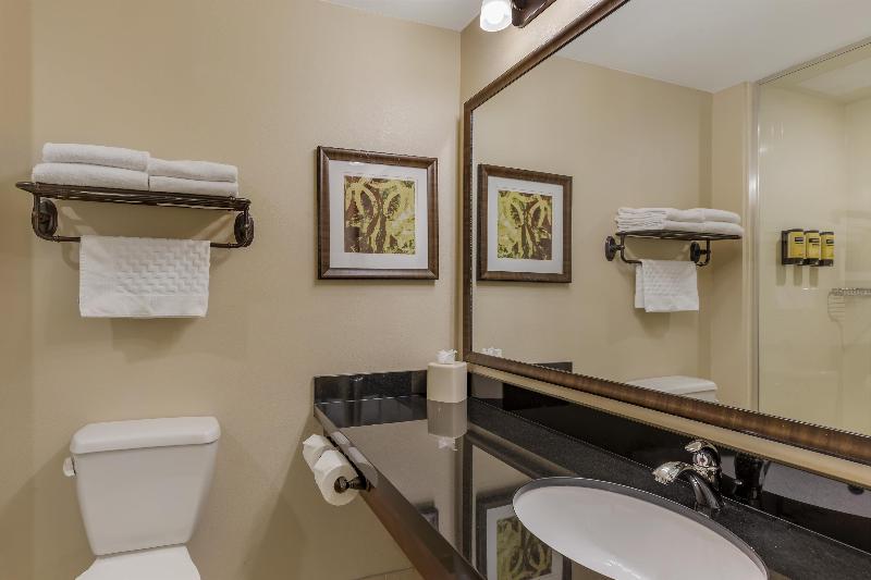 Best Western Plus Hudson Hotel & Suites image