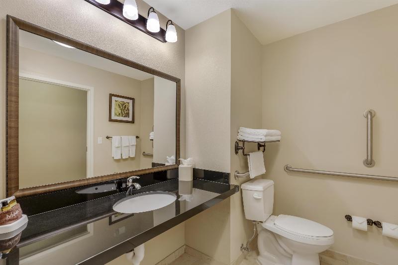 Best Western Plus Hudson Hotel & Suites image