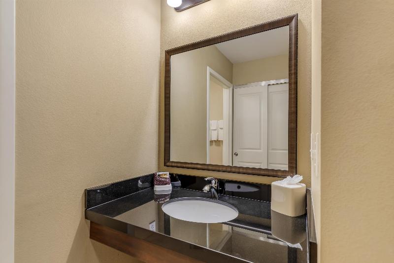 Best Western Plus Hudson Hotel & Suites image