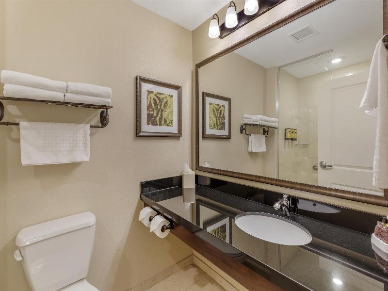 Best Western Plus Hudson Hotel & Suites image