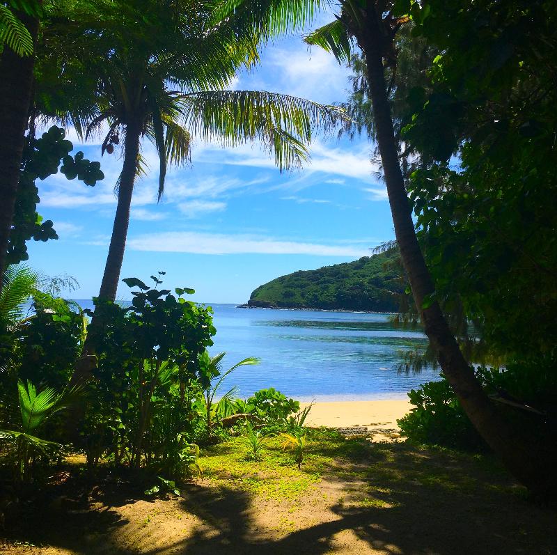 Barefoot Manta Island Resort — photo 5
