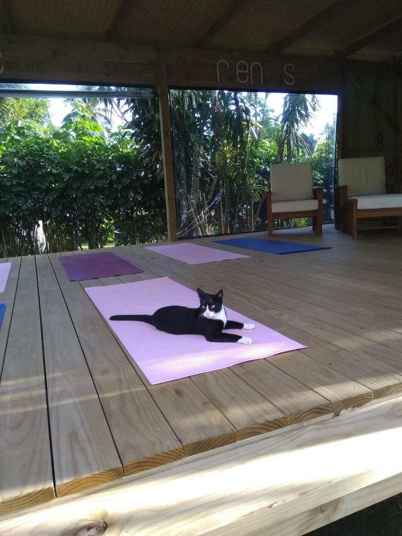 Ikurangi Eco Retreat image