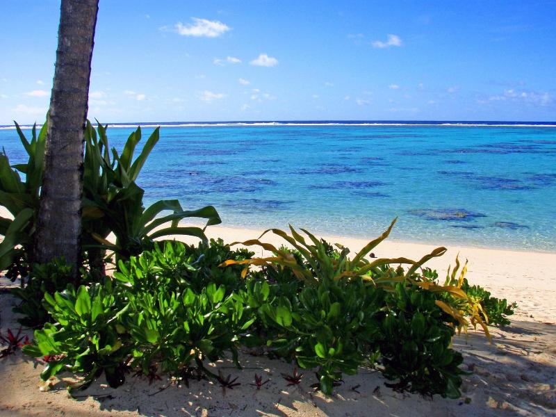 Rarotonga Beach Bungalows image