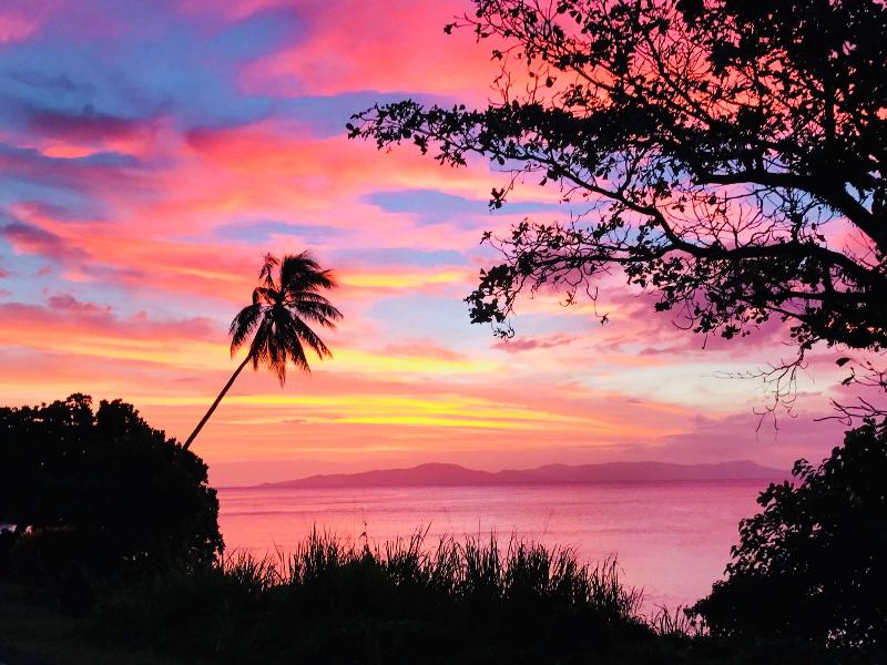 Taveuni Palms Resort - All Inclusive
