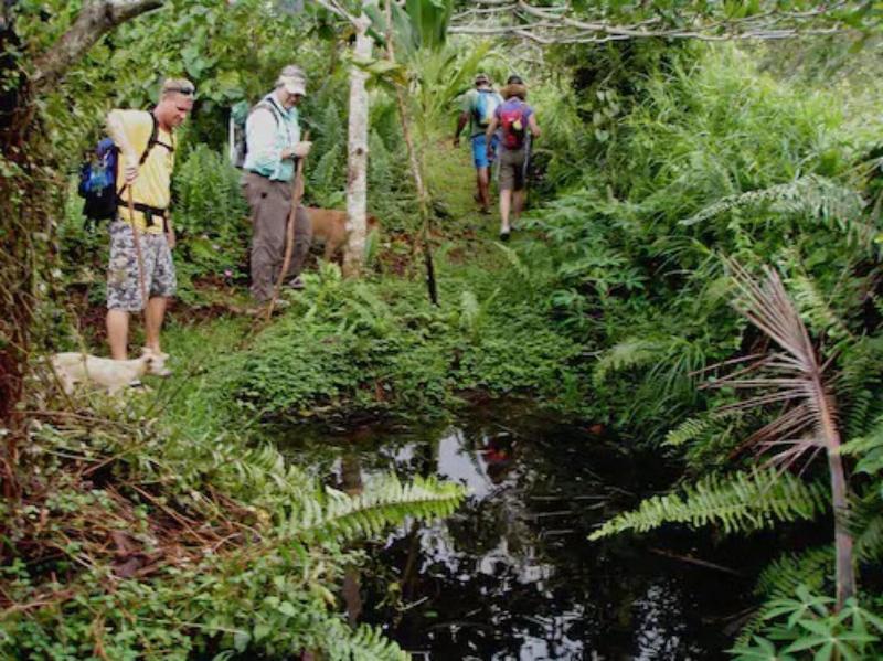 Taveuni Island Resort and Spa image