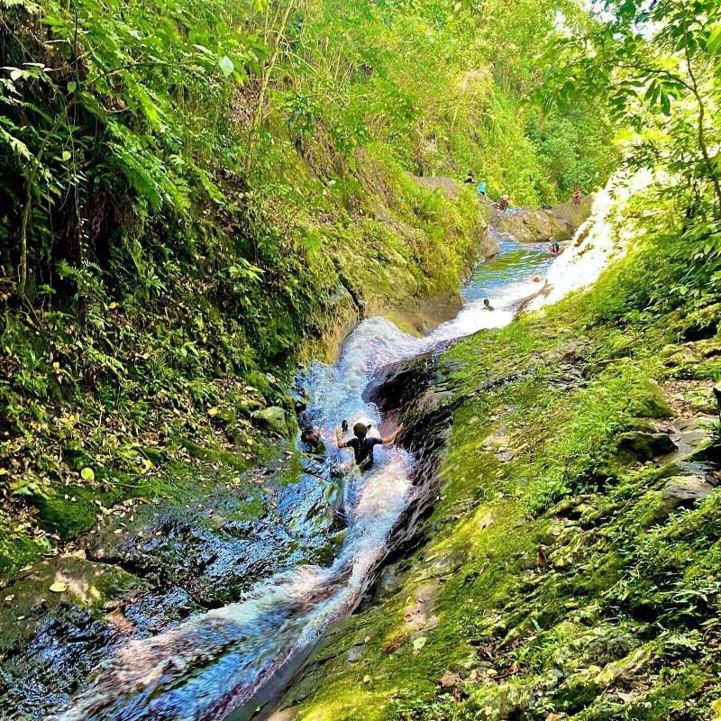 Taveuni Island Resort and Spa image