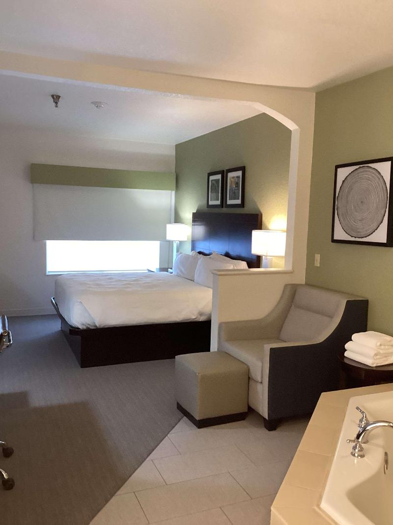 Best Western Celina image