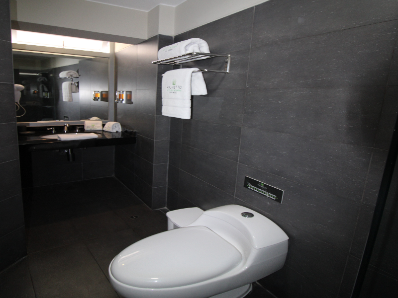 Palmetto Hotel Business San Miguel image
