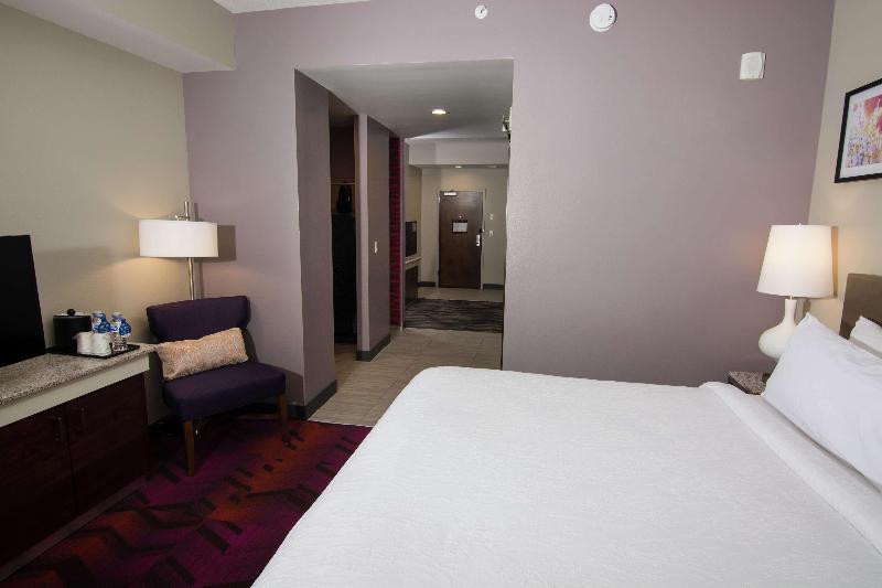Hilton Garden Inn Tampa Suncoast Parkway image