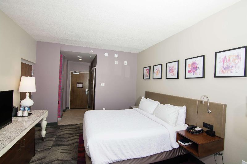 Hilton Garden Inn Tampa Suncoast Parkway image