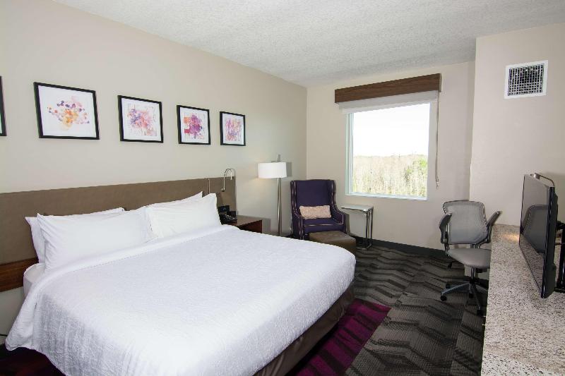 Hilton Garden Inn Tampa Suncoast Parkway image