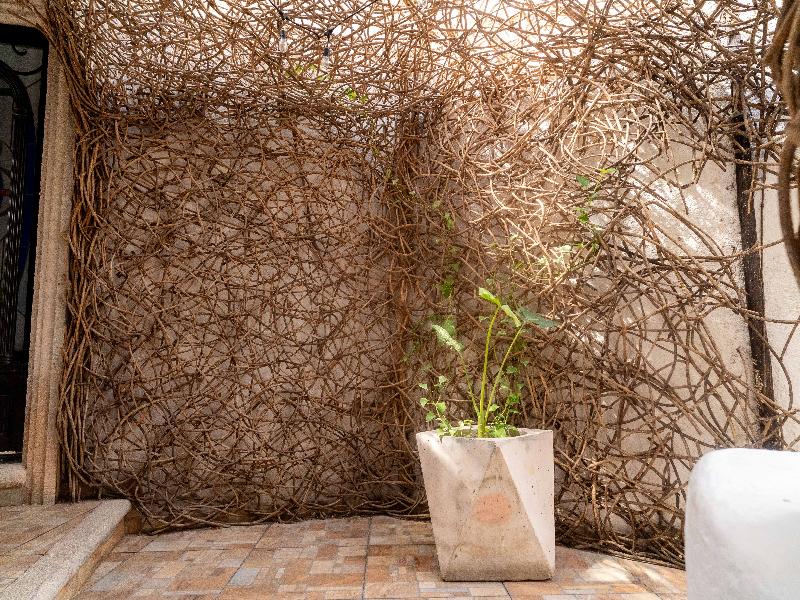 Mezcal Boutique Hotel image