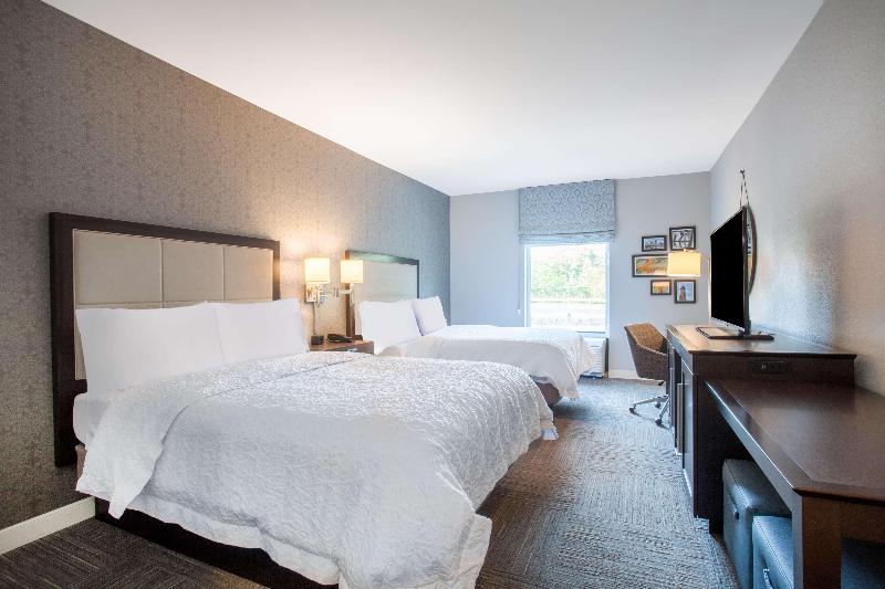 Hampton Inn Rochester-Penfield image