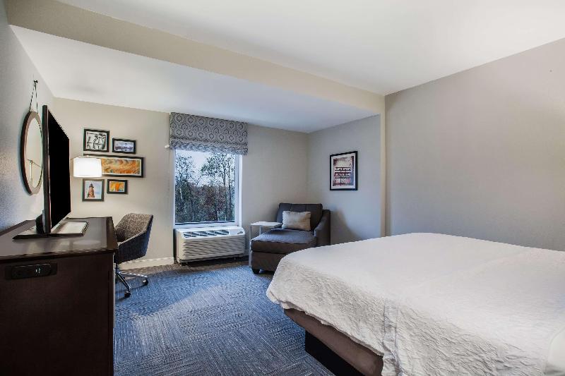 Hampton Inn Rochester-Penfield image