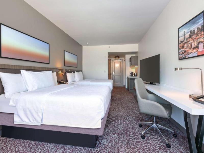 Hilton Garden Inn Dallas/Arlington South, TX image