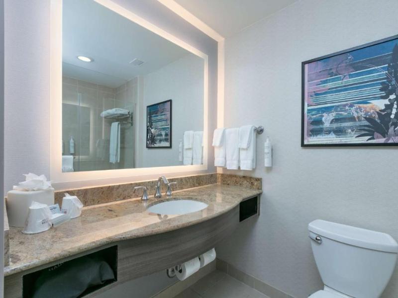 Hilton Garden Inn Dallas/Arlington South, TX image