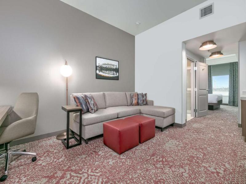 Hilton Garden Inn Dallas/Arlington South, TX image