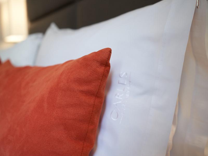 Carles Hotel Buenos Aires image