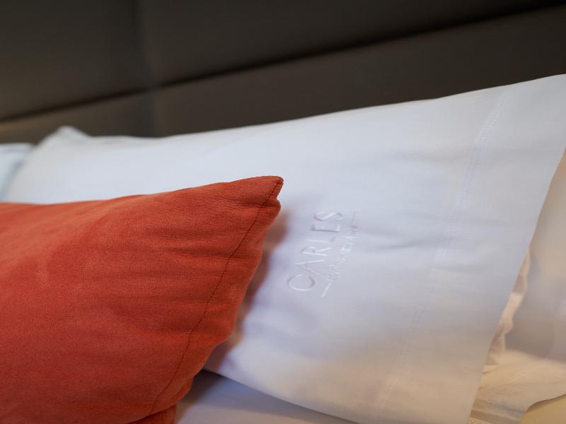 Carles Hotel Buenos Aires image
