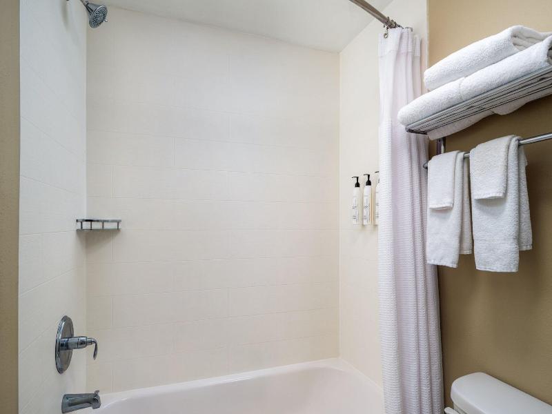 Holiday Inn Express & Suites Sarasota Bradenton image