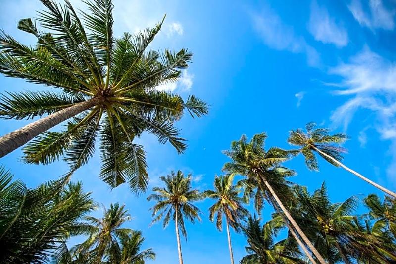 Seavana Beach Resort Koh Mak image