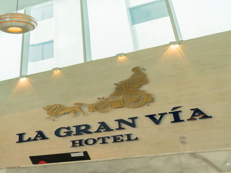 Hotel La Gran Via image