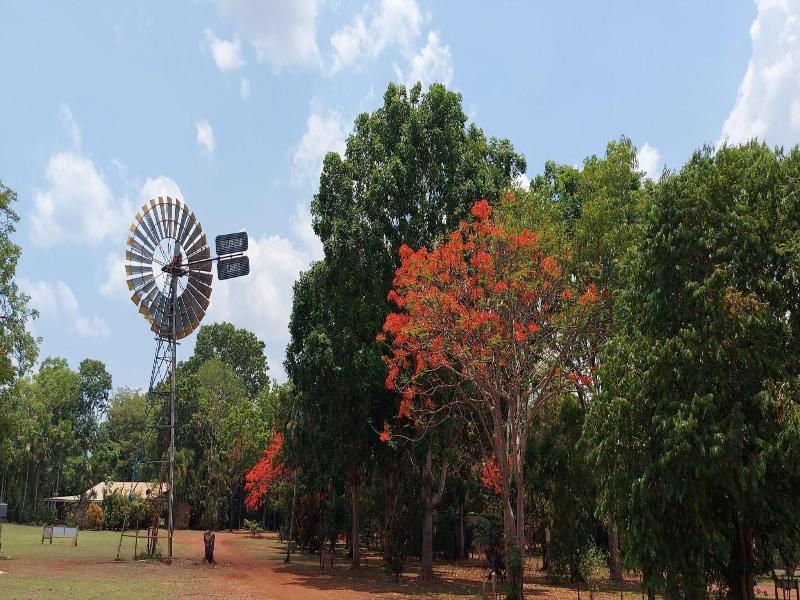 Litchfield Tourist Park