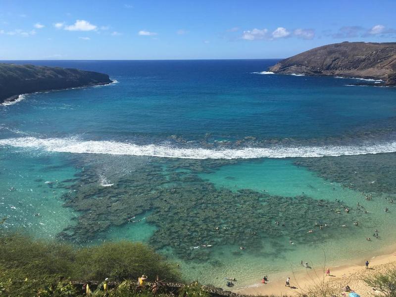 The Laylow Waikiki, Autograph Collection