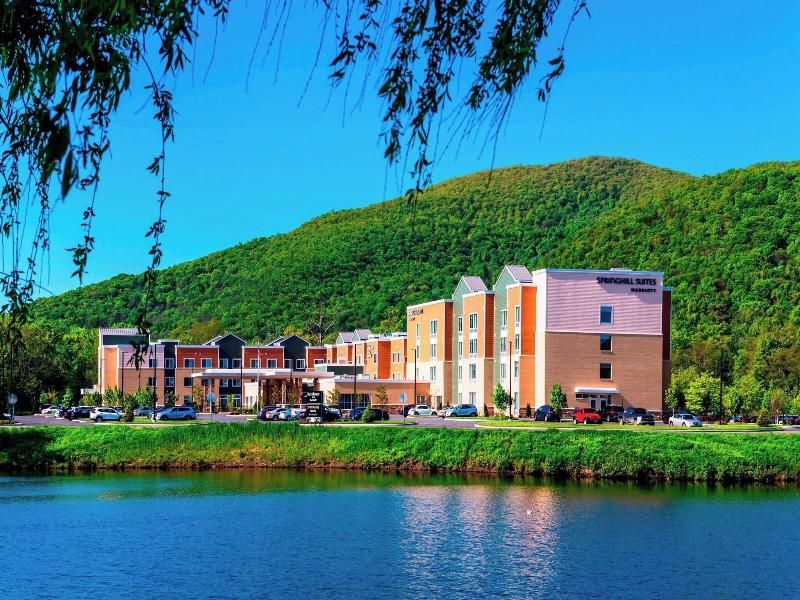 SpringHill Suites Fishkill image