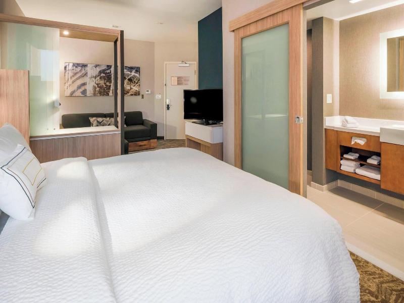 SpringHill Suites Fishkill image
