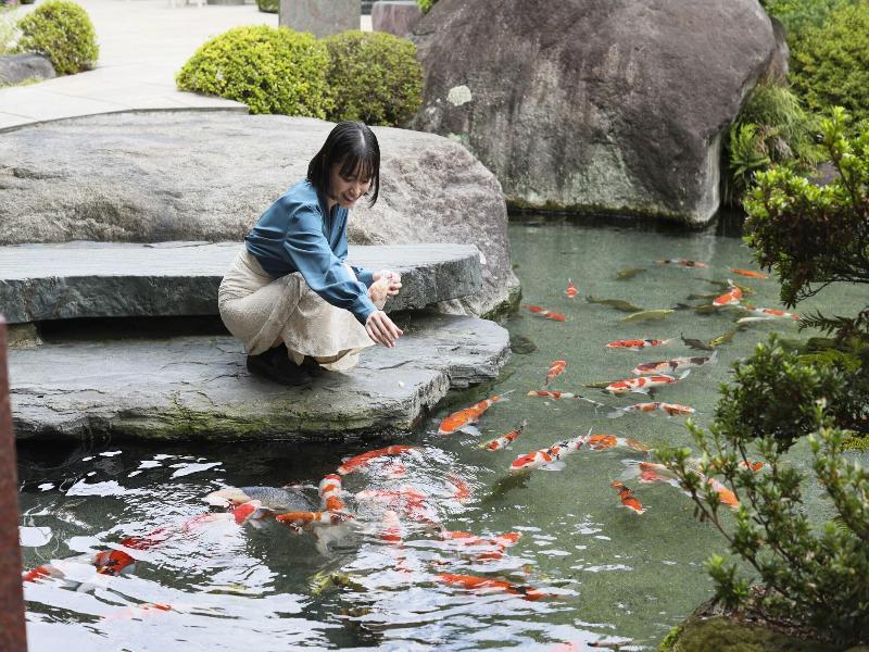 Meiseki no Yado Kagetsu image