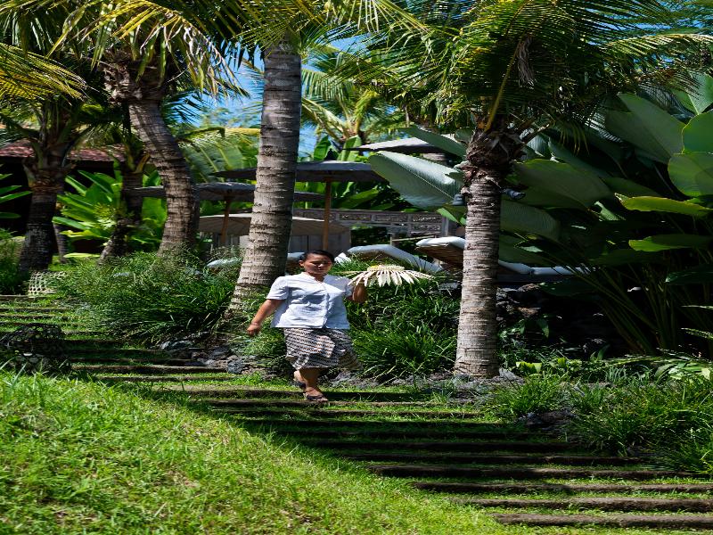 Kalapa Resort and Yoga Retreat image