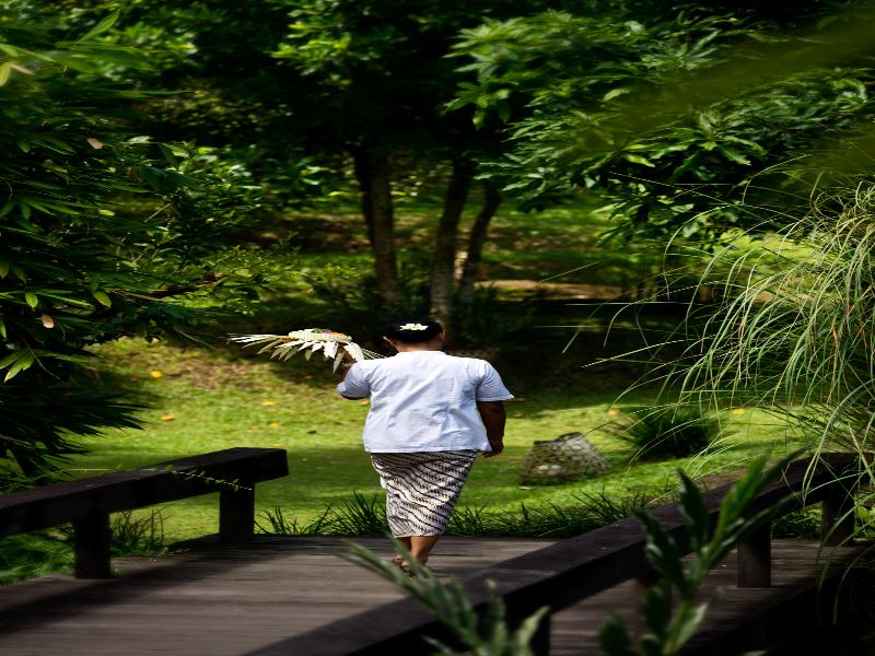 Kalapa Resort and Yoga Retreat image