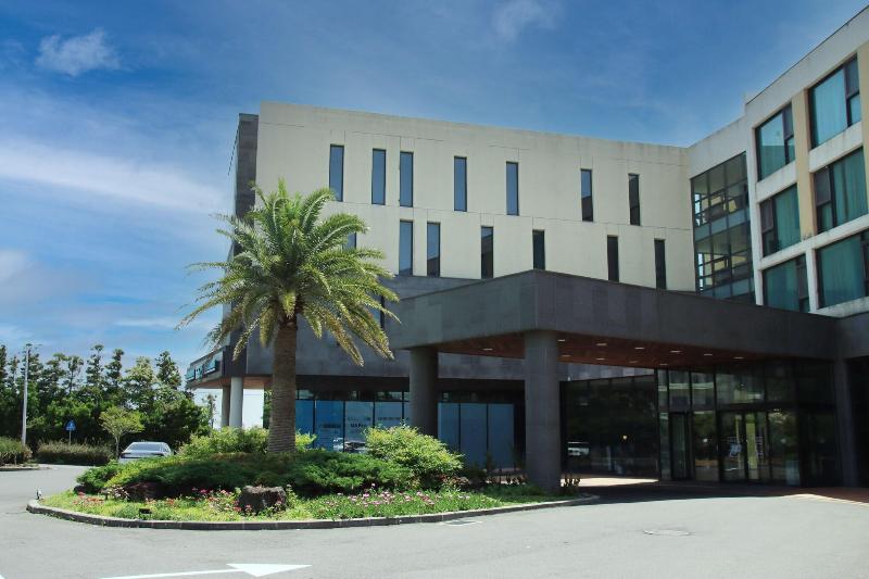 Grandmer Hotel Jeju image