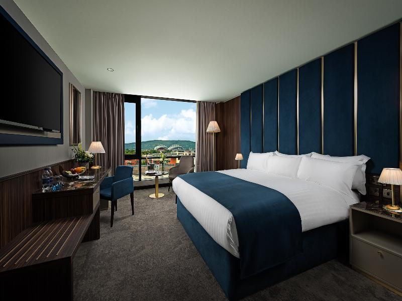 The Savoy Limerick image