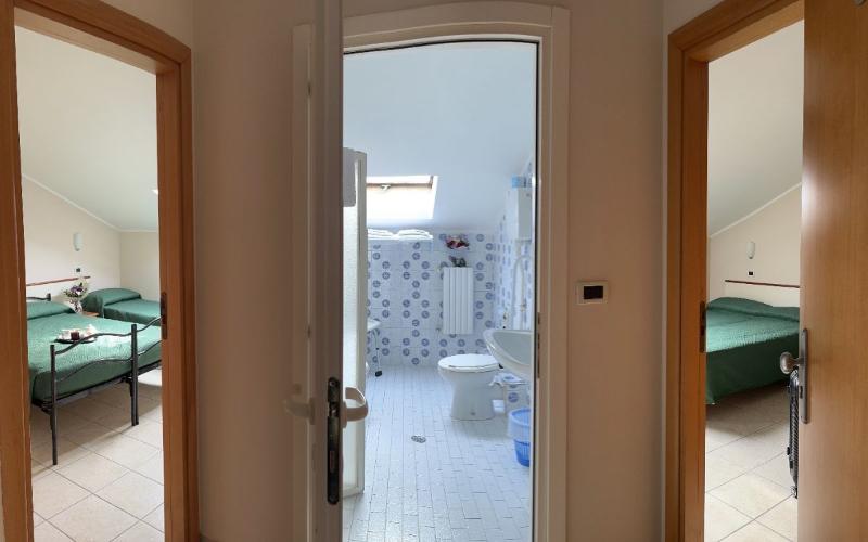 Blue Hotel image