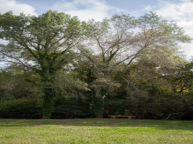 Quinta do Caminho image