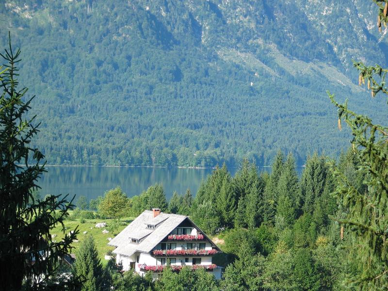 Apartments Bohinj Mavrica image