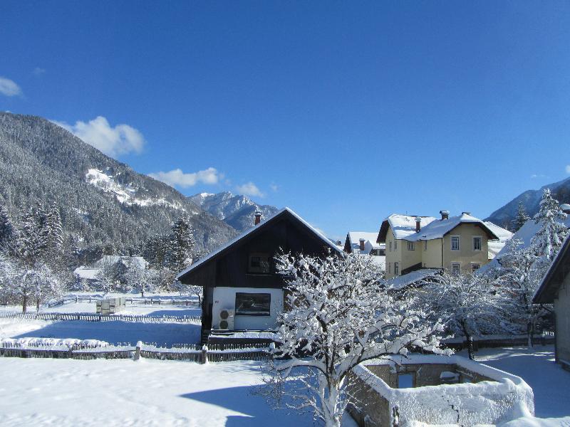 Apartmaji Milena  image