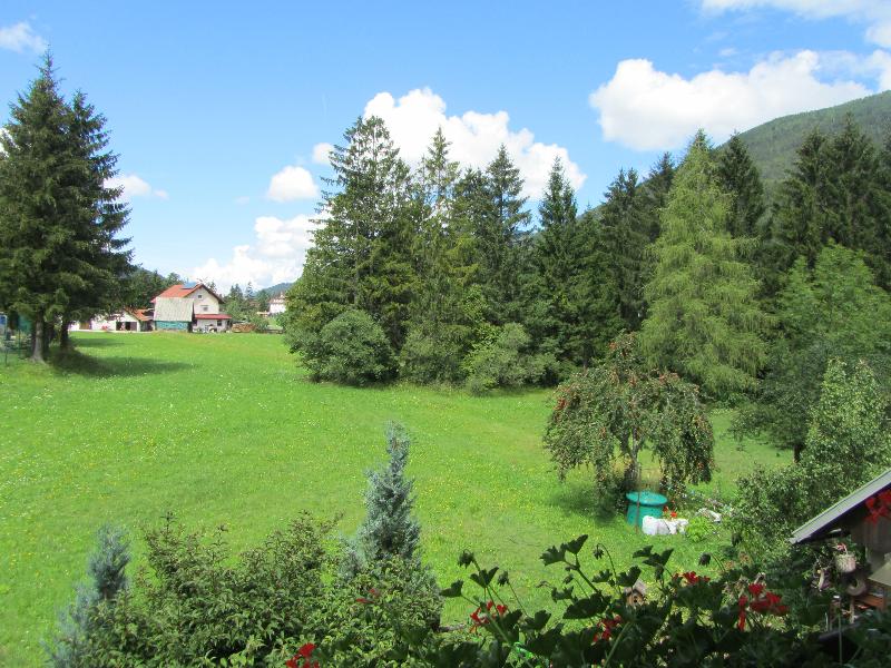 Apartmaji Milena  image