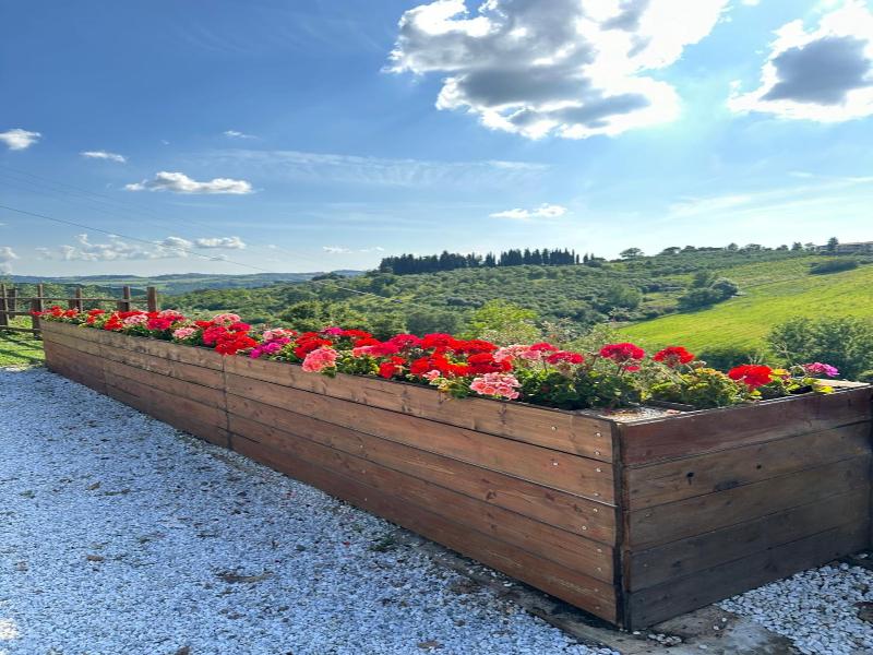 Colle Del Sole - Three Bedroom image