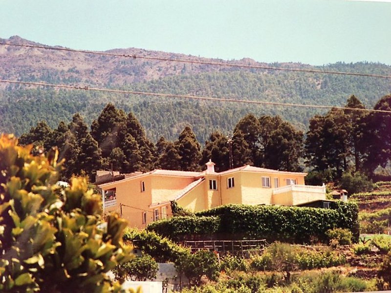 Finca Lizzy - One Bedroom — photo 5