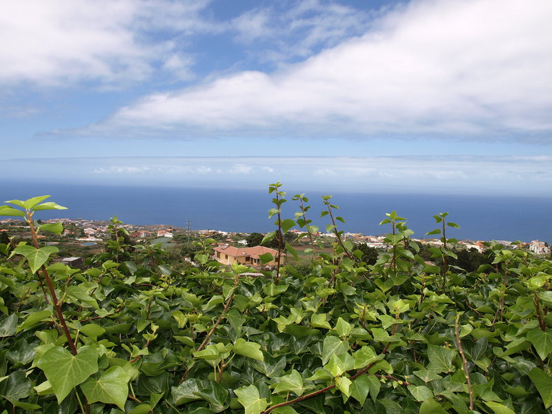 Finca Weinberg - One Bedroom — photo 4