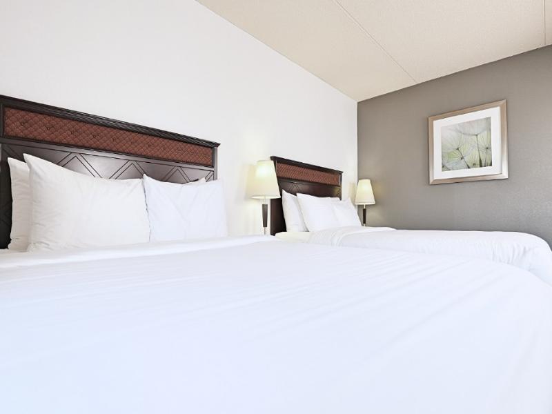 Lelux Hotel & Empire Suites image