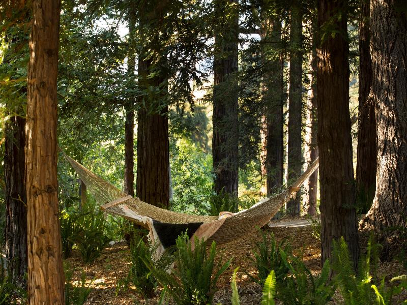Alila Ventana Big Sur - Inclusive Resort image