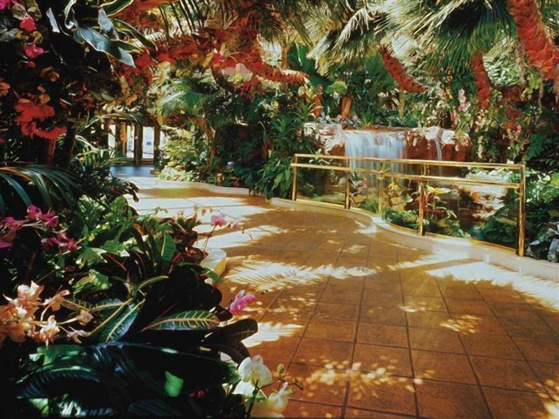 Golden Nugget Laughlin image