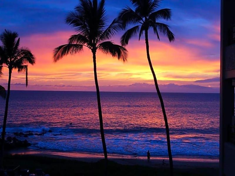 Polo Beach Club image